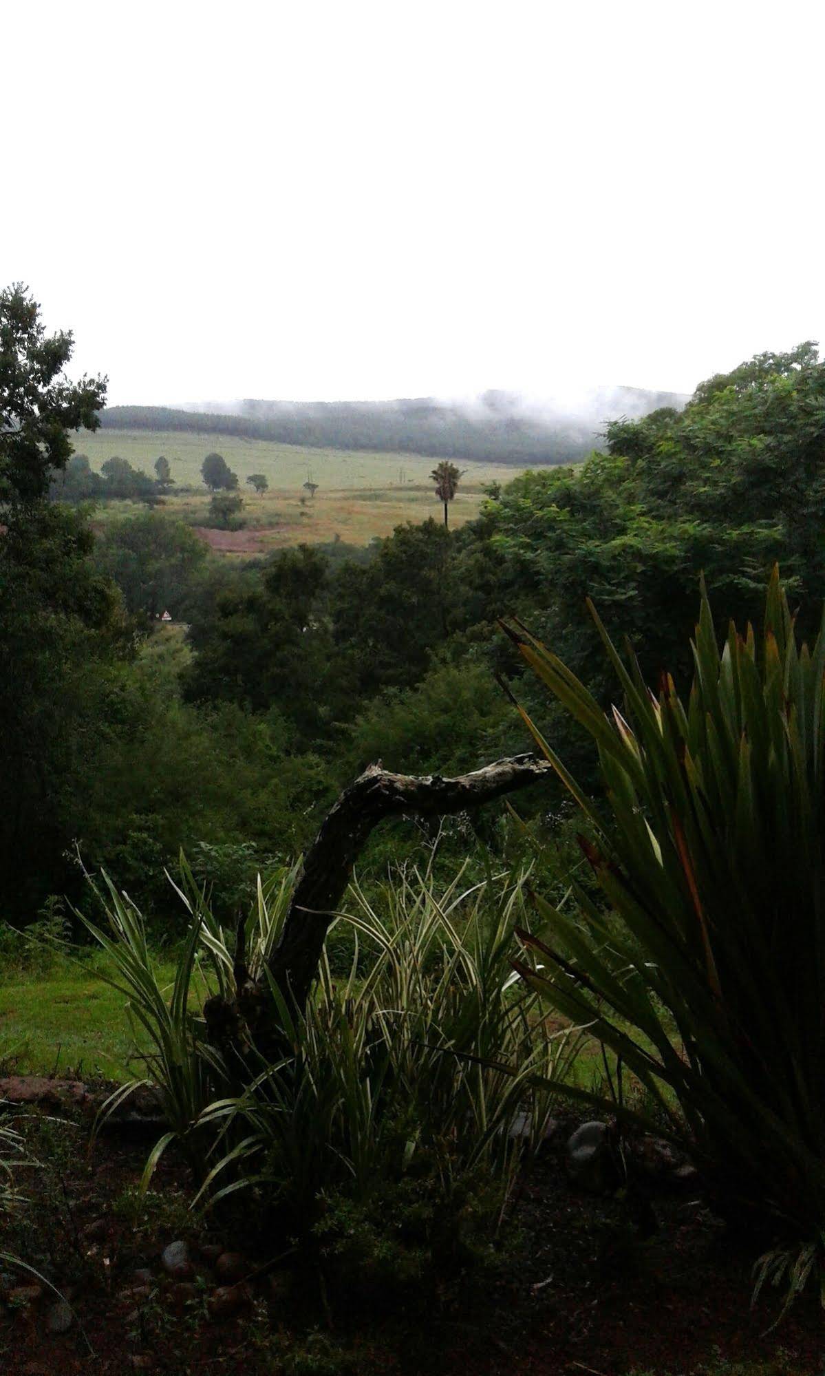Forest View Guest House