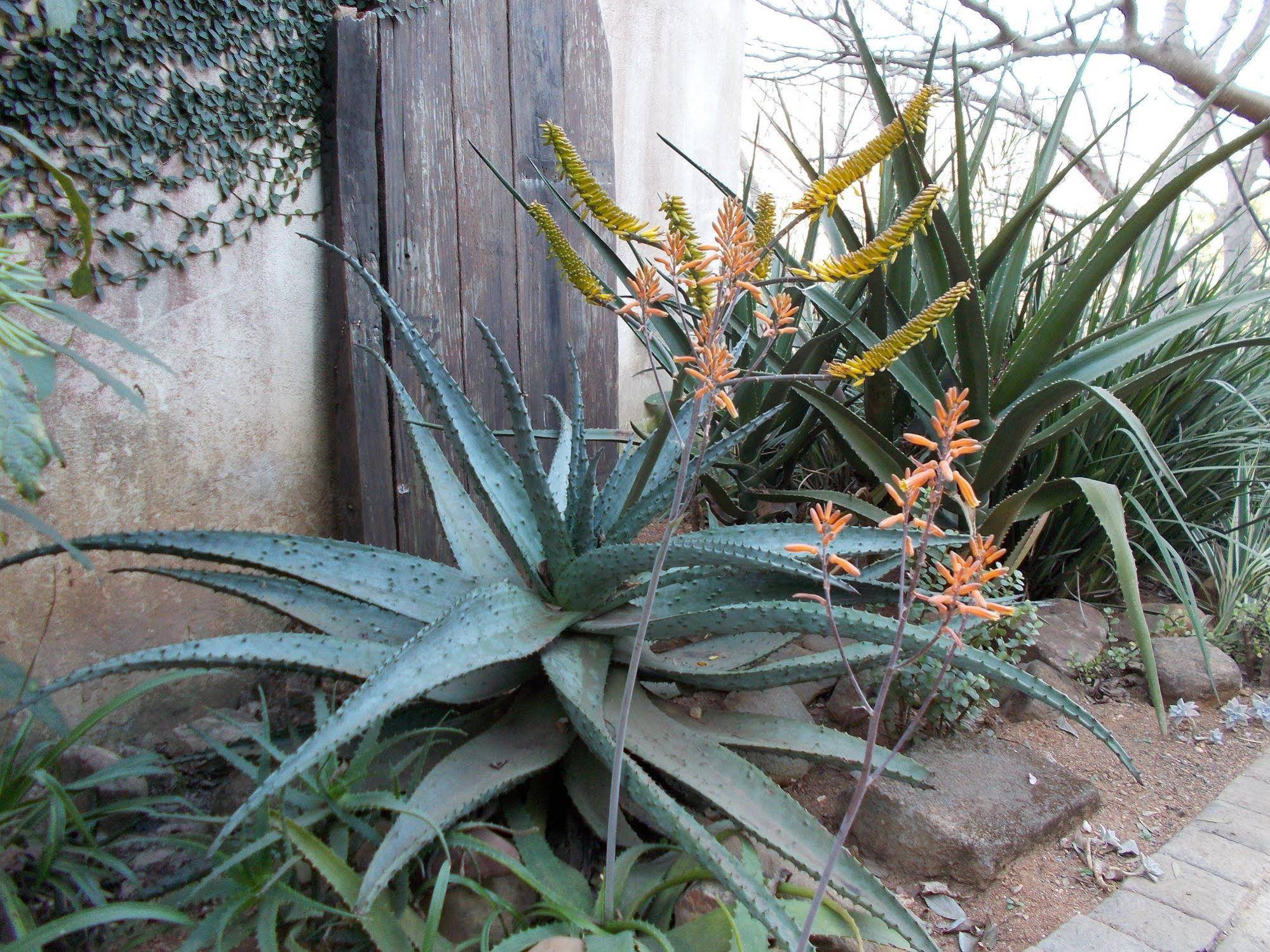 Sabie Self Catering Apartments