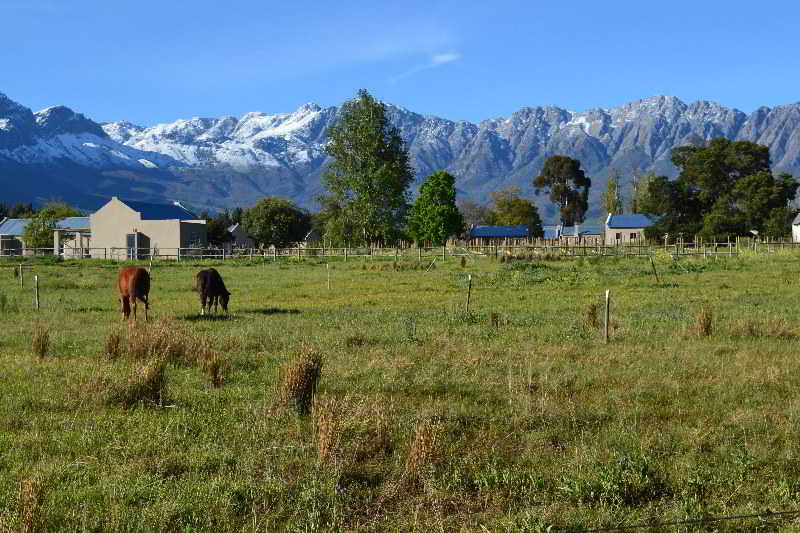 Saronsberg Vineyard Cottages