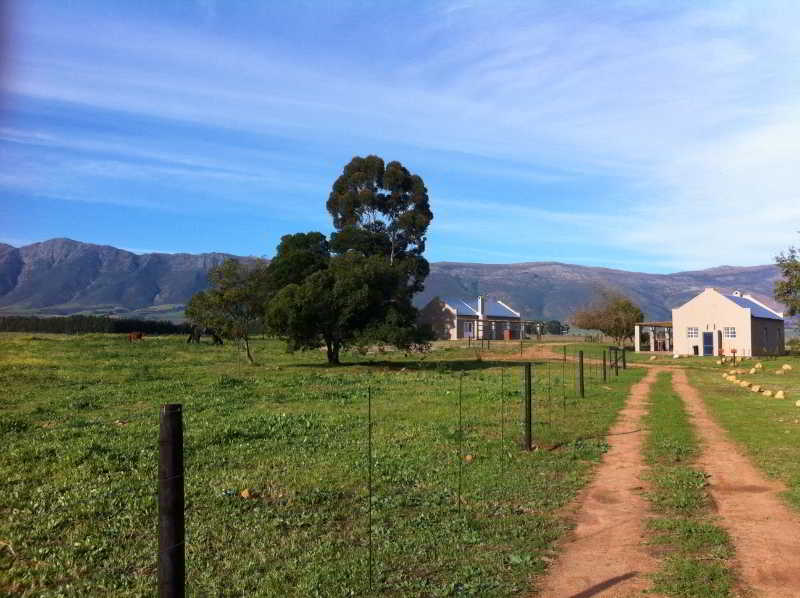 Saronsberg Vineyard Cottages