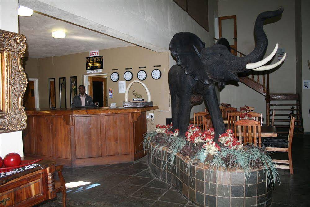 Ivory Tusk Lodge