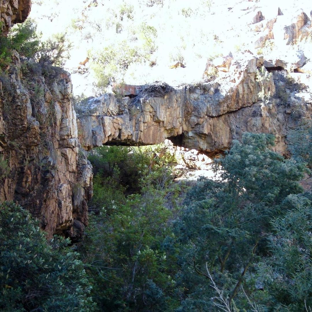 Eagle Falls Country Lodge