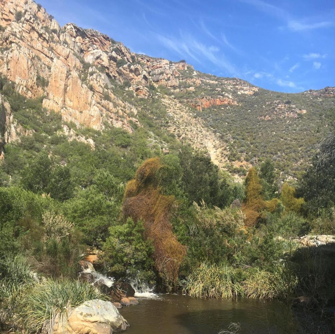 Eagle Falls Country Lodge