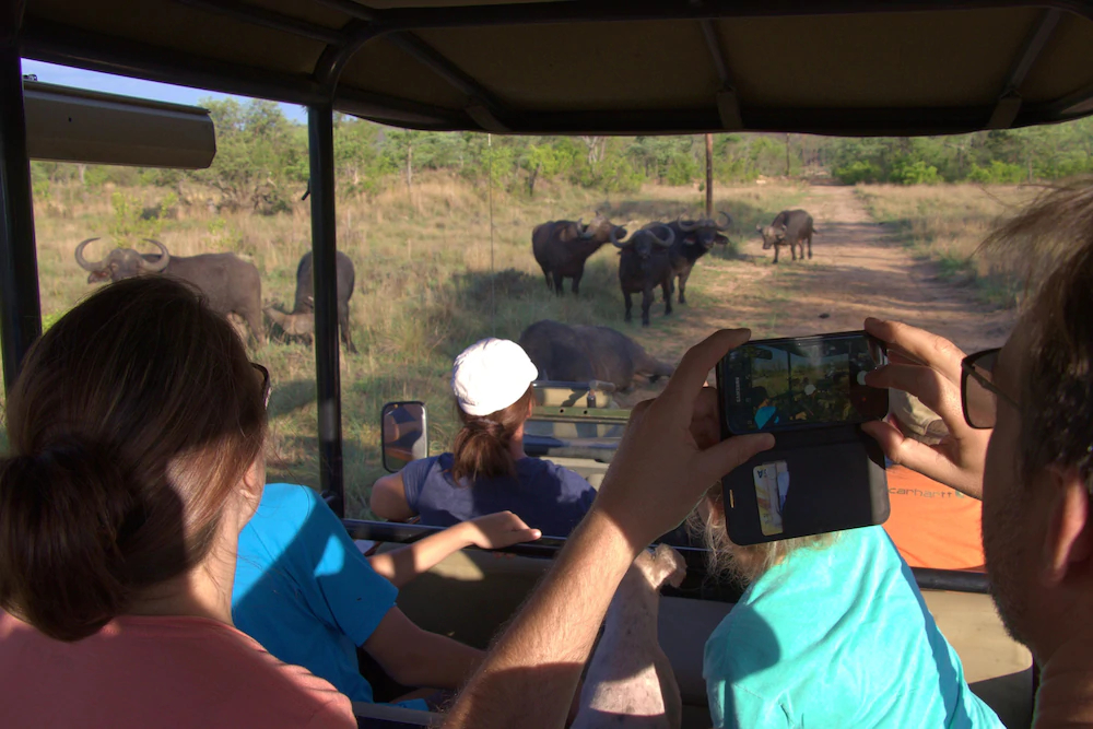 Kudumela Bush Lodge