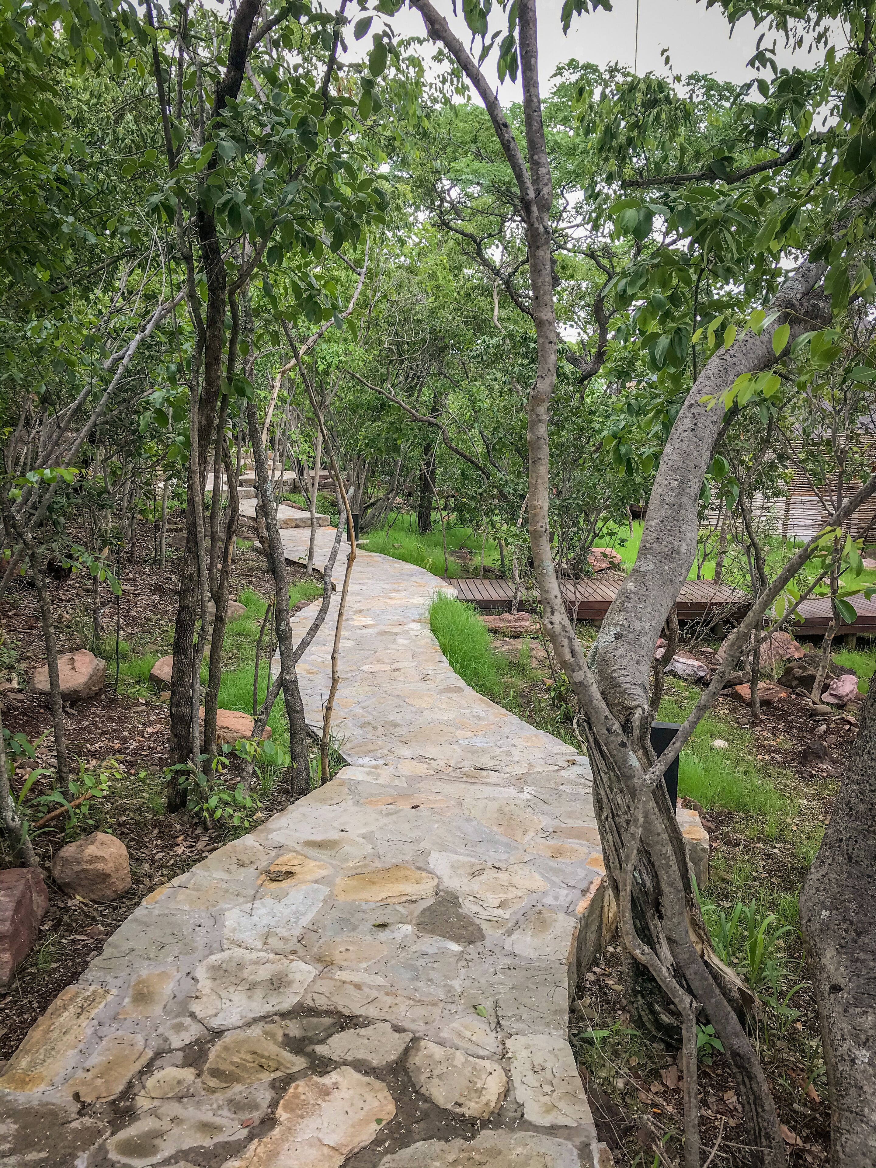 Laluka Safari Lodge