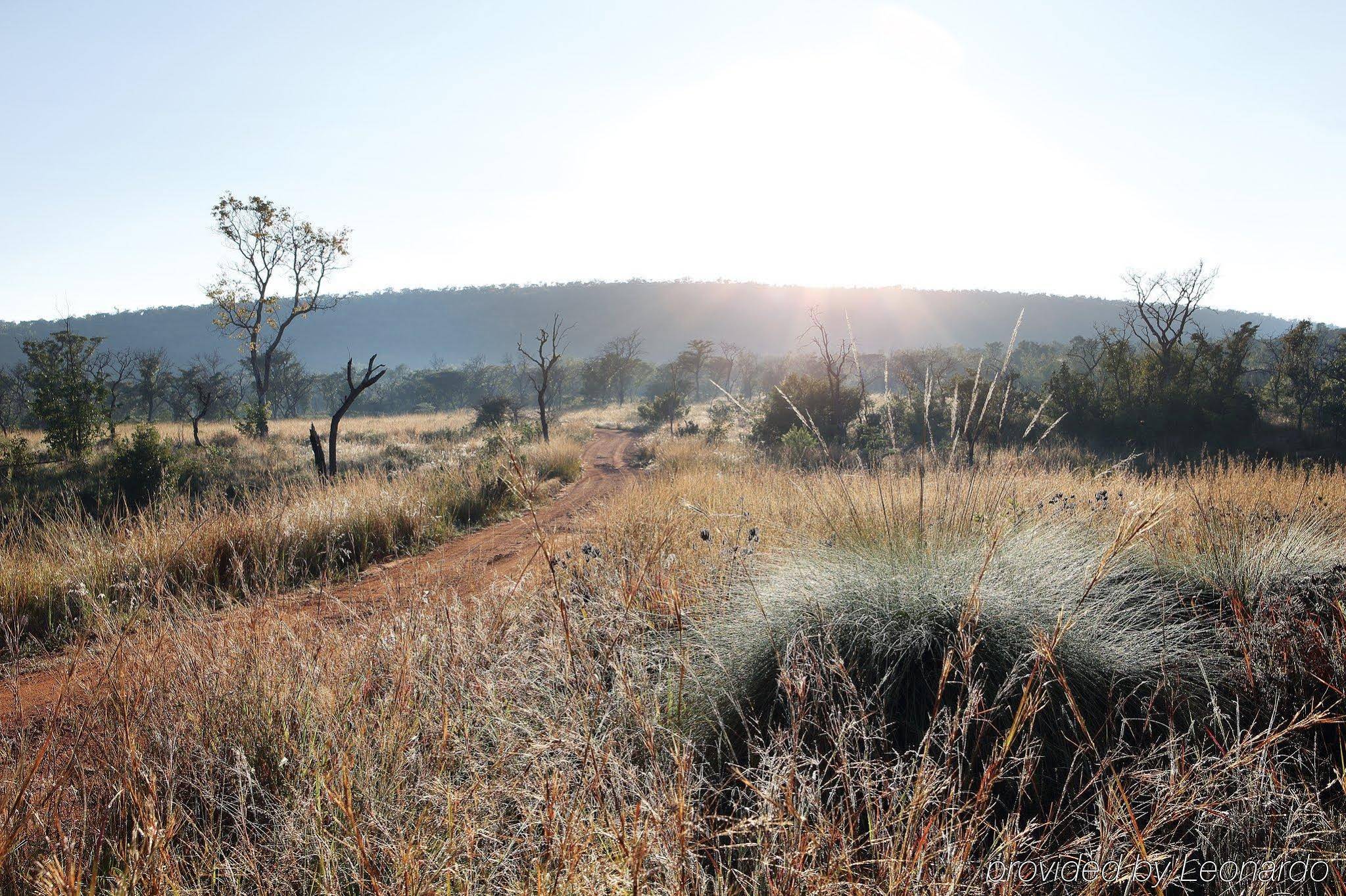 Zulu Camp Shambala Game Reserve