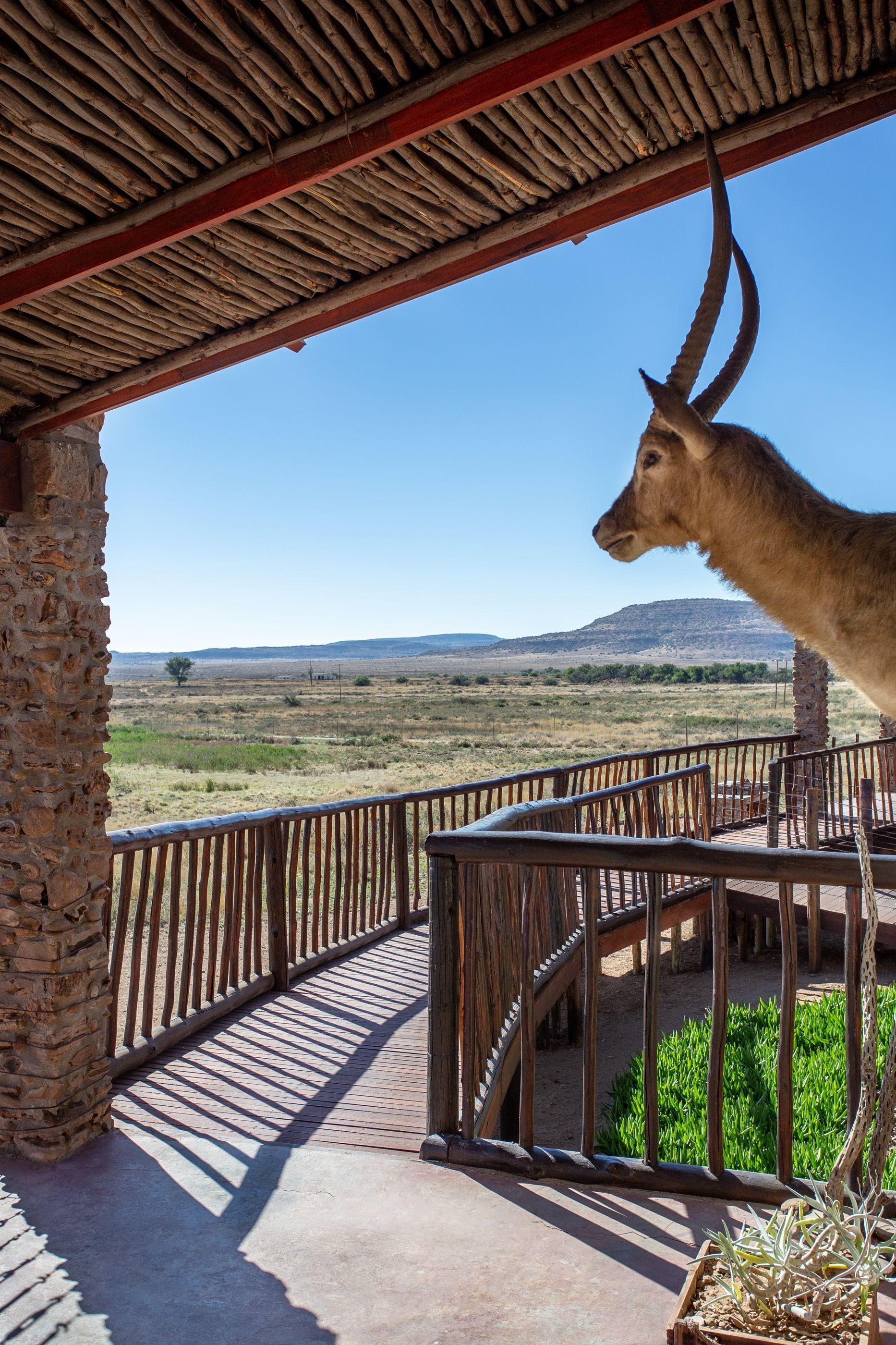 Gannabos Guest House