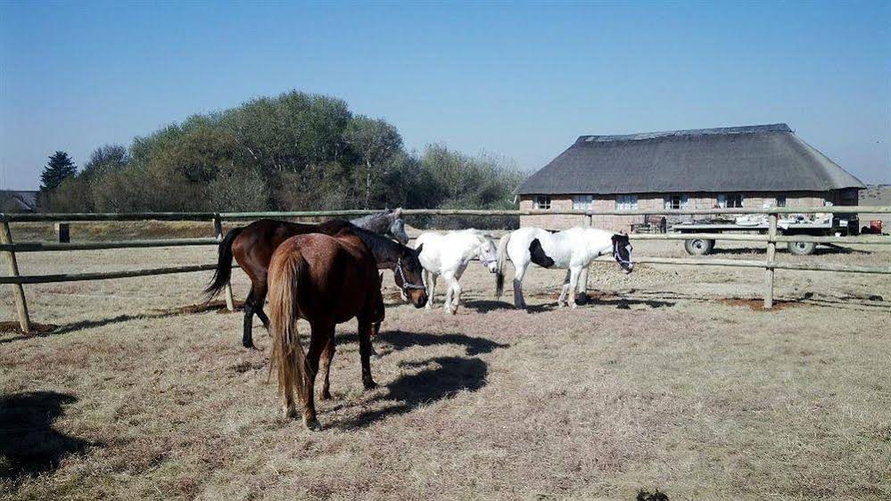 Lekoa Lodge