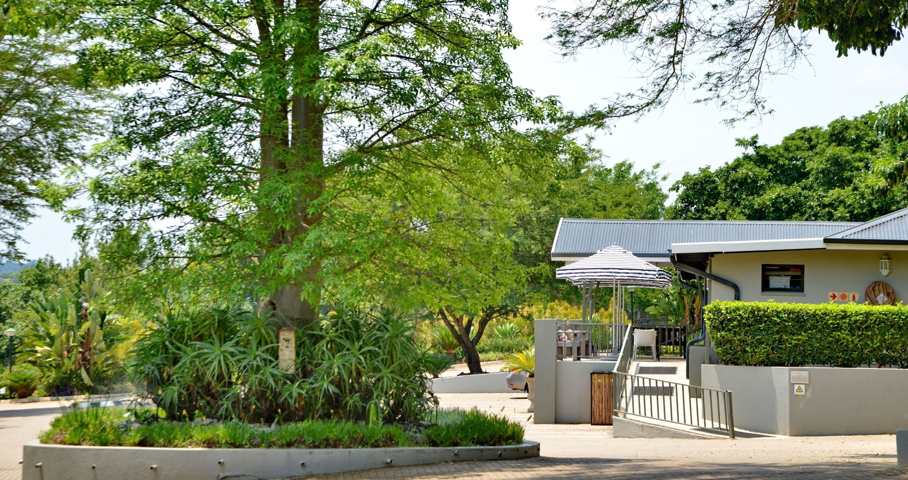 ANEW Resort White River