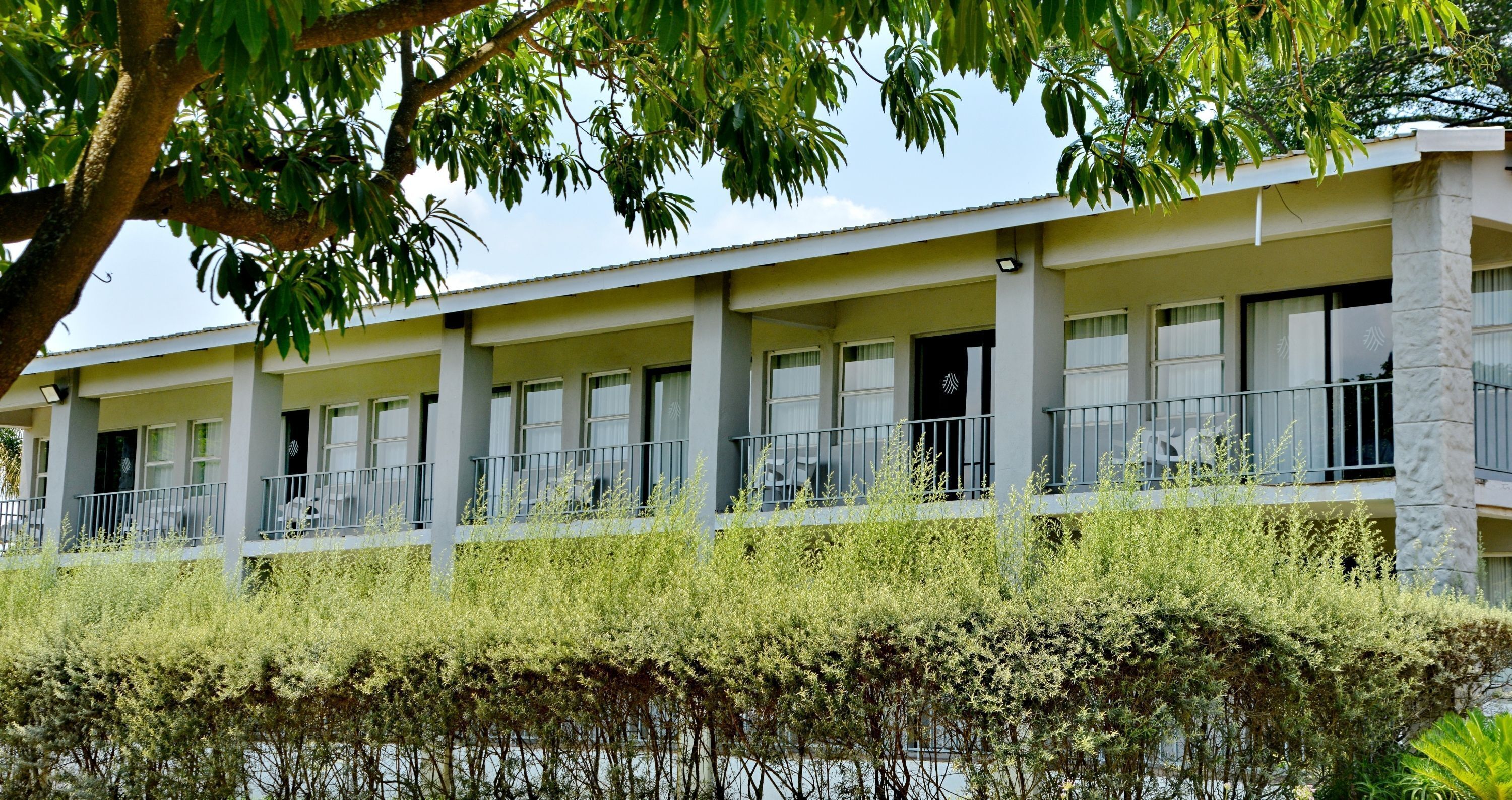ANEW Resort White River