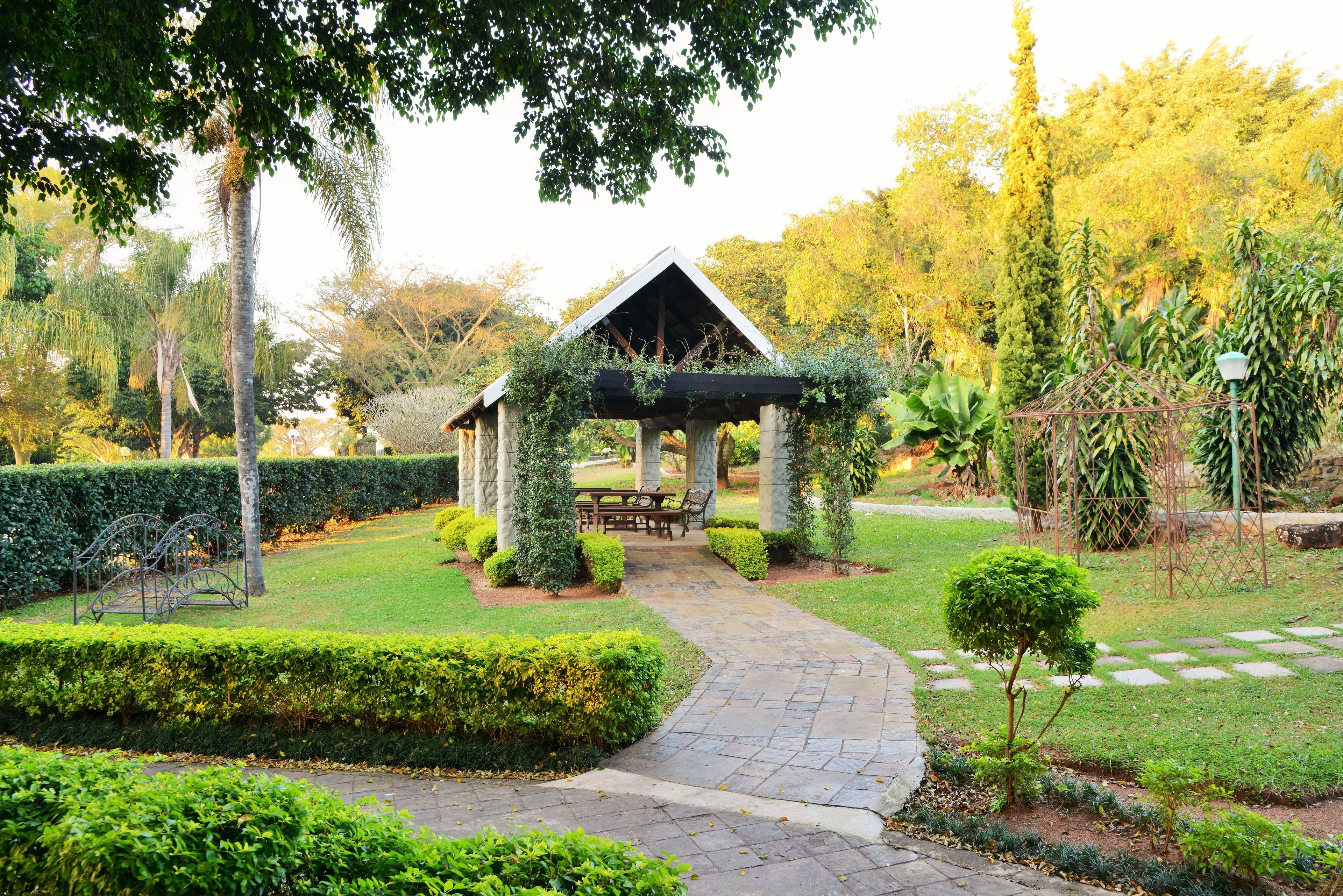 ANEW Resort White River