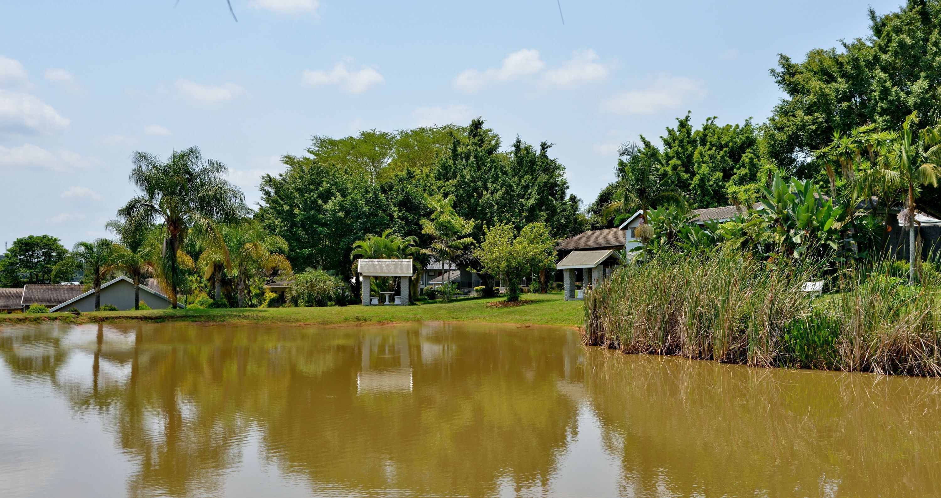 ANEW Resort White River