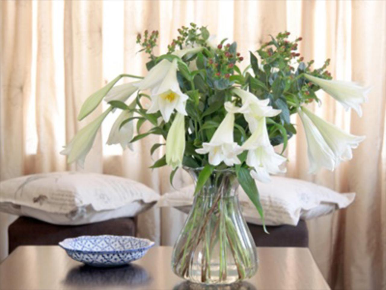 Country Lane Lodge