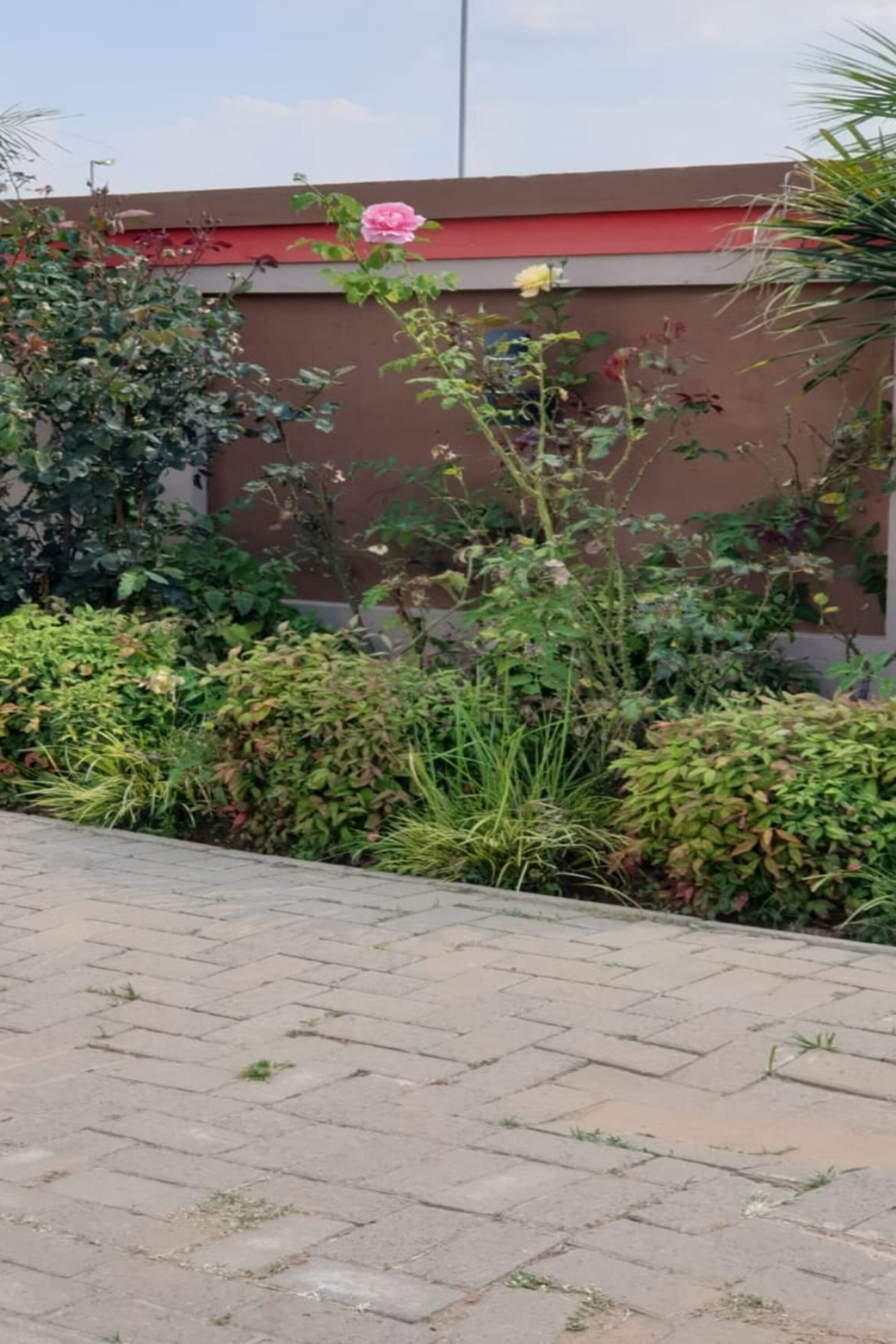 Mkoko Guesthouse