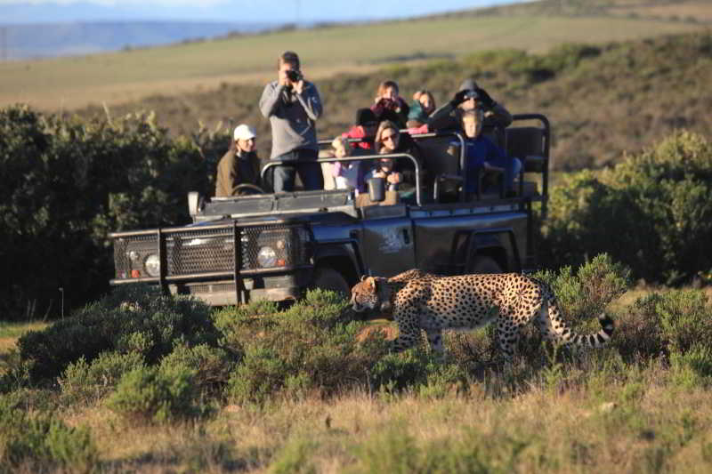 Garden Route Game Lodge