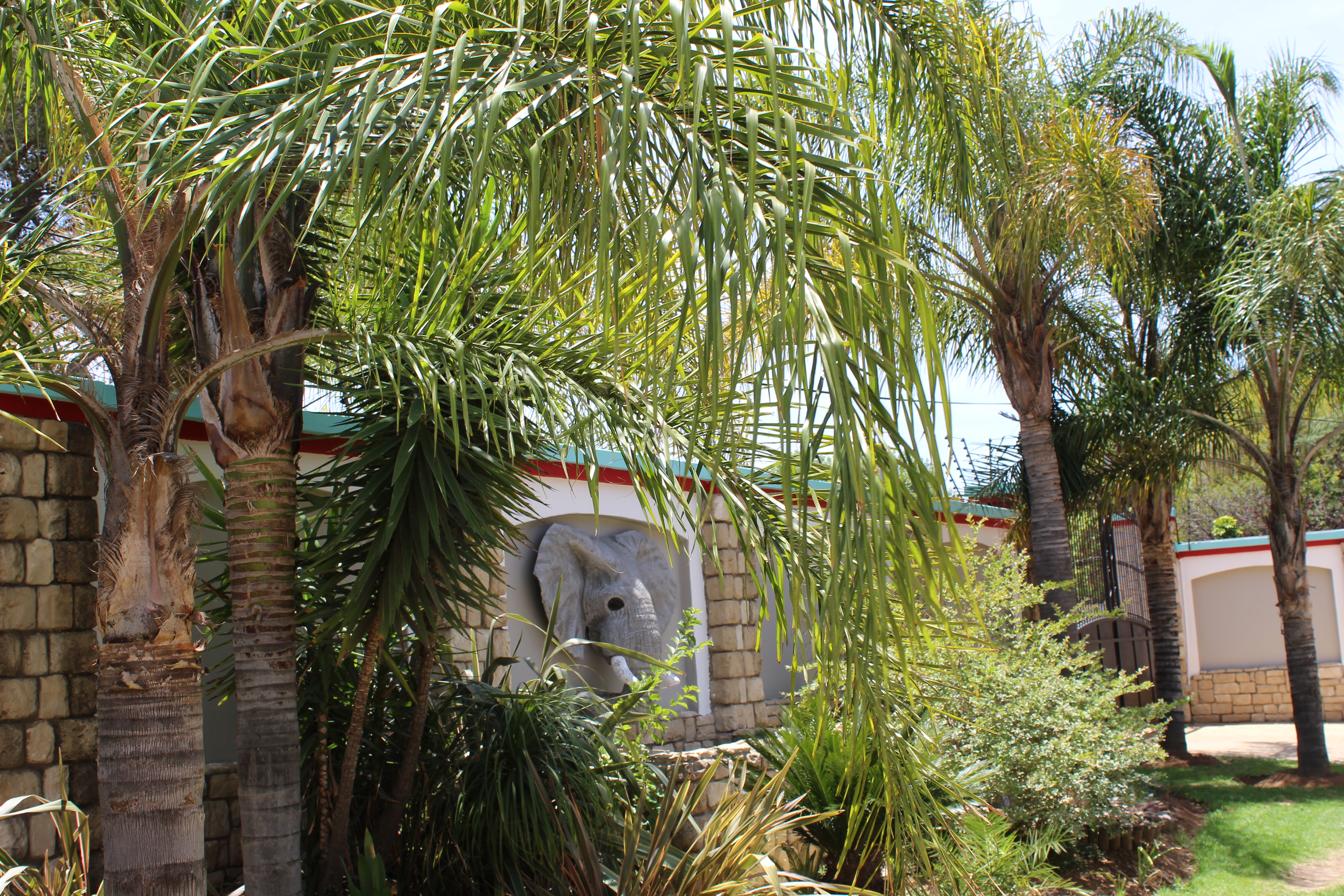 Africa Paradise