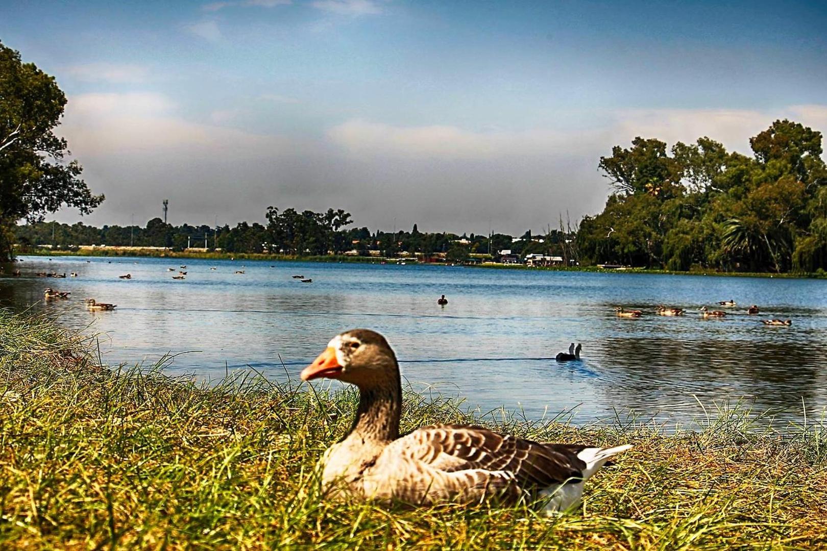 Lakeview Boutique Hotel & Conference Centre