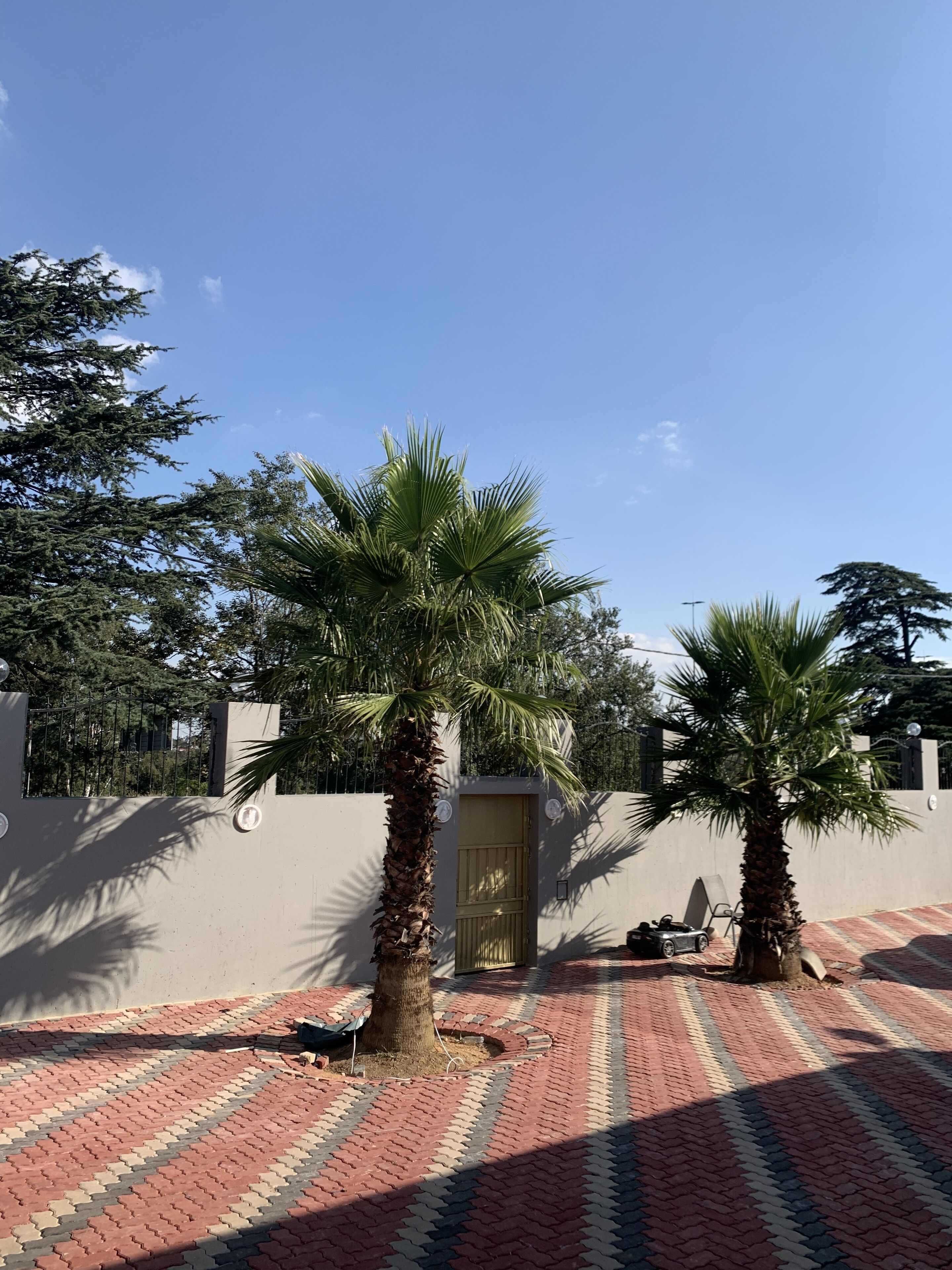 Northmead Lodge