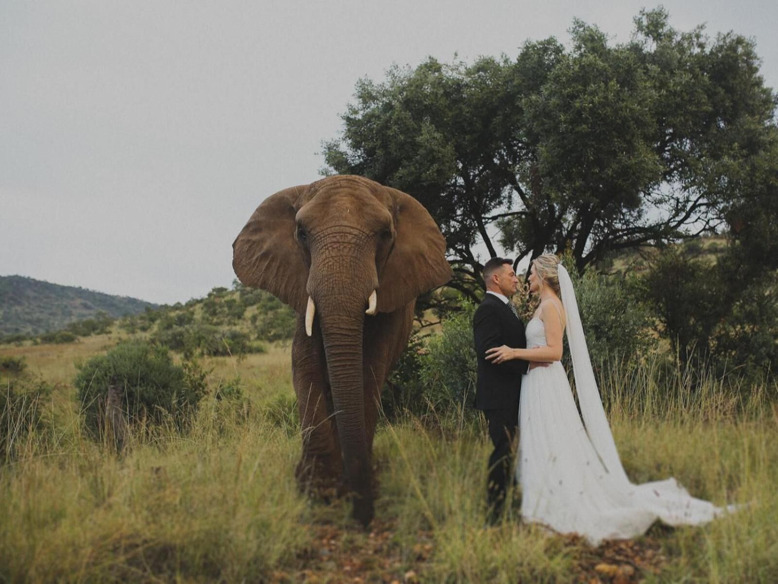Glen Afric Country Lodge