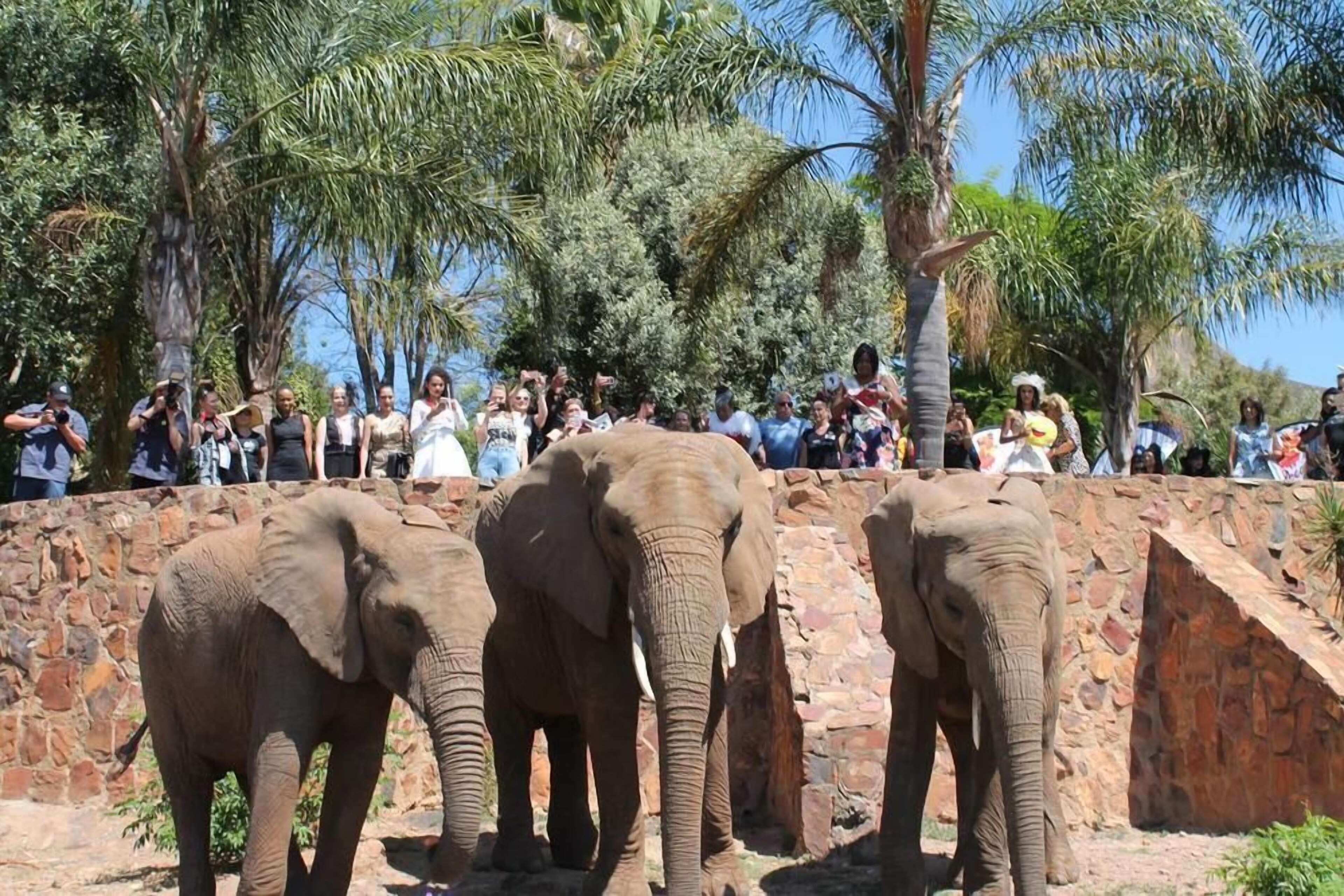 Glen Afric Country Lodge