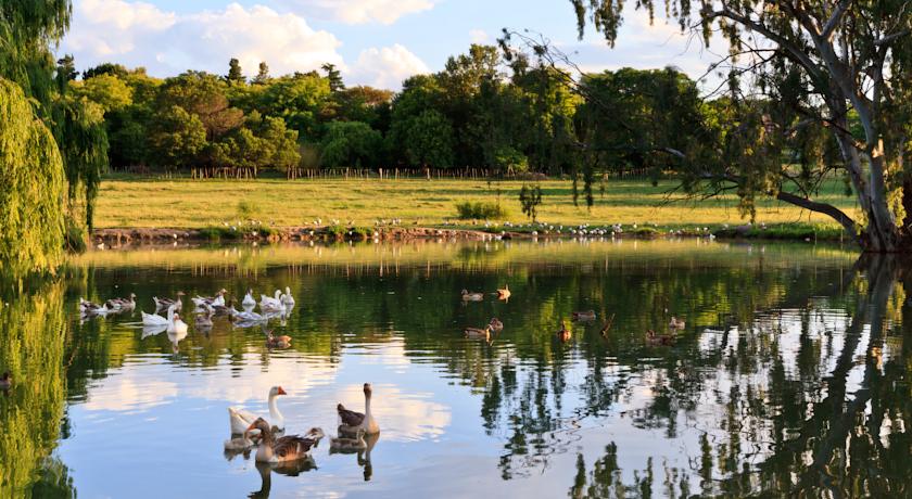 Zulu Nyala Country Manor