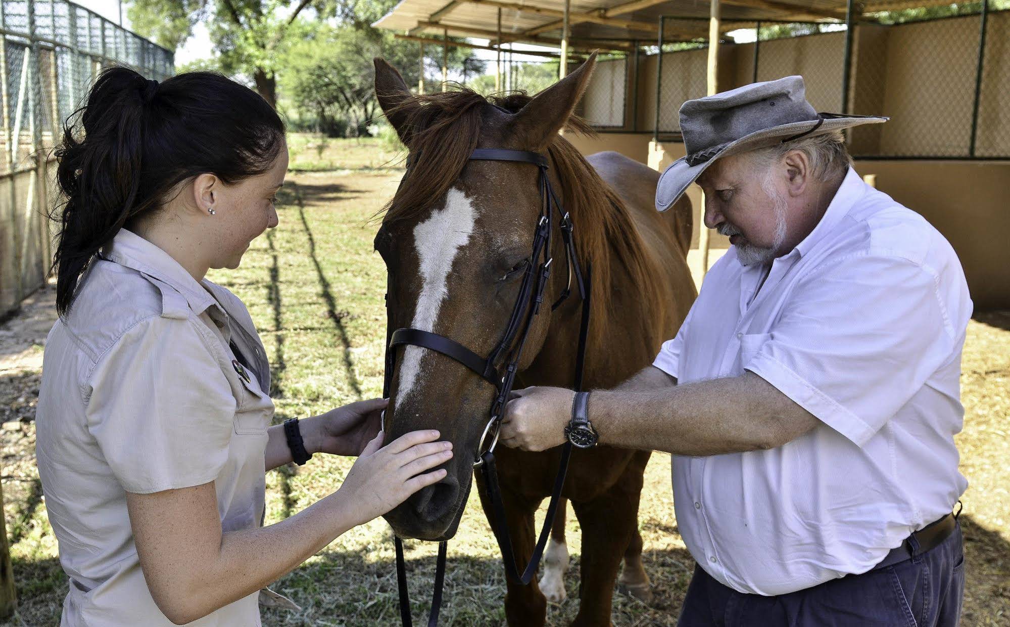 Sun International Carousel