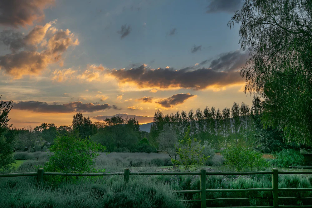 La Bastide Guesthouse