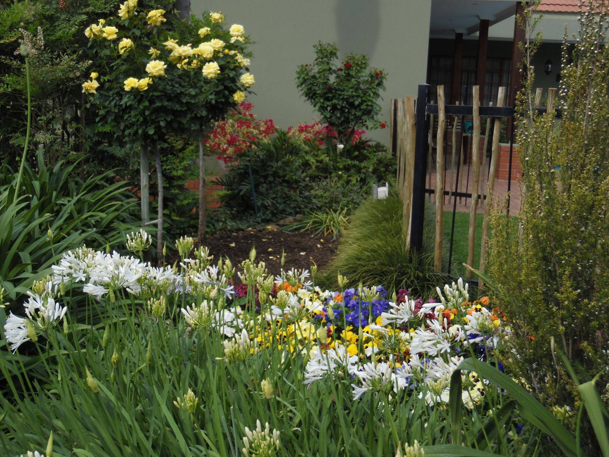 Blackheath Manor Guest House