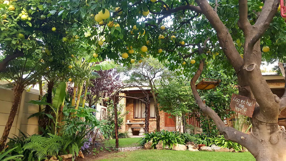 Citrus Lane Guesthouse