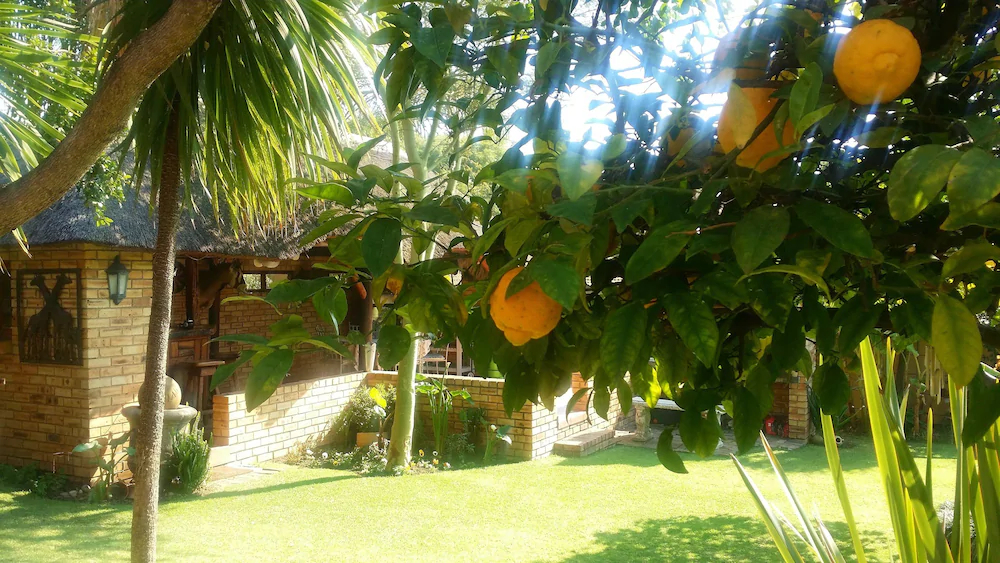 Citrus Lane Guesthouse