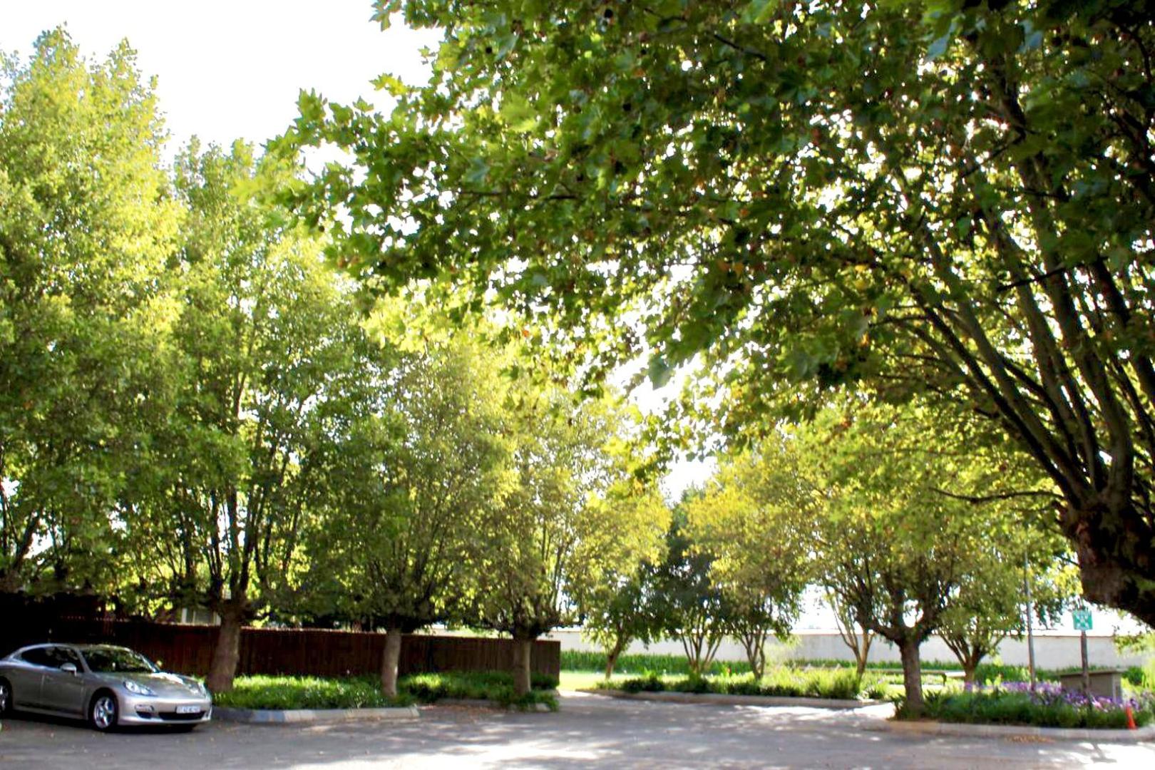 Lido Hotel