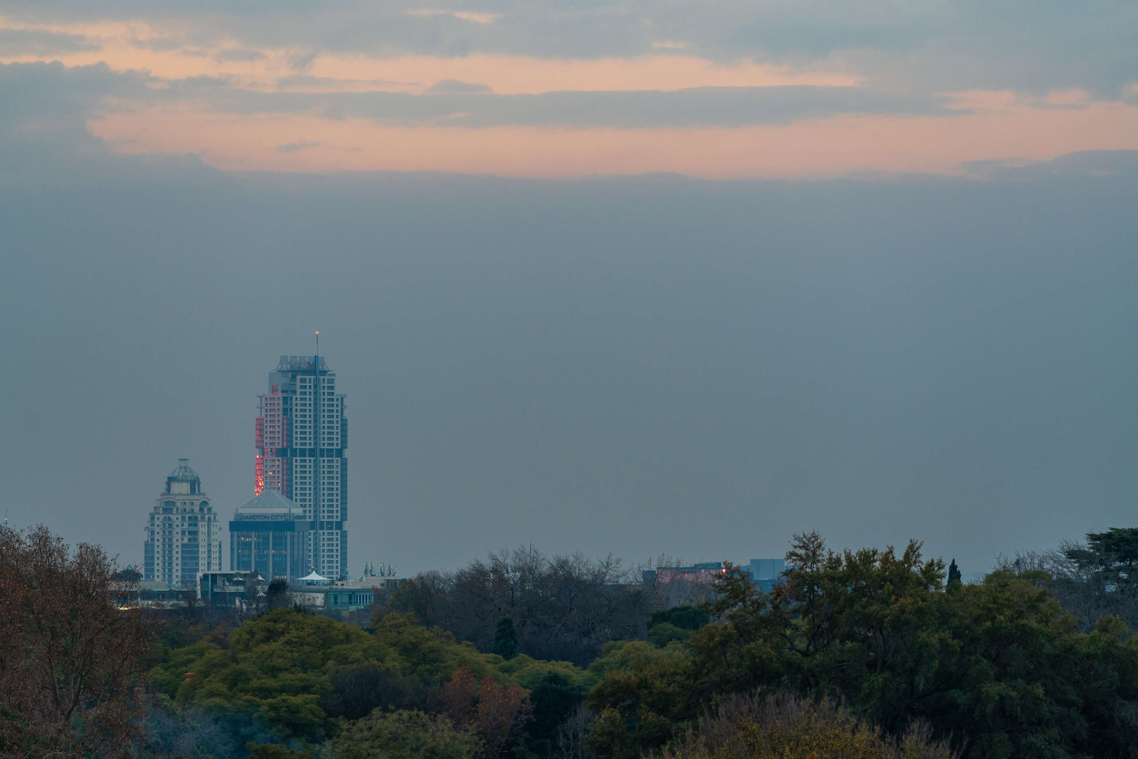Radisson RED Johannesburg Rosebank