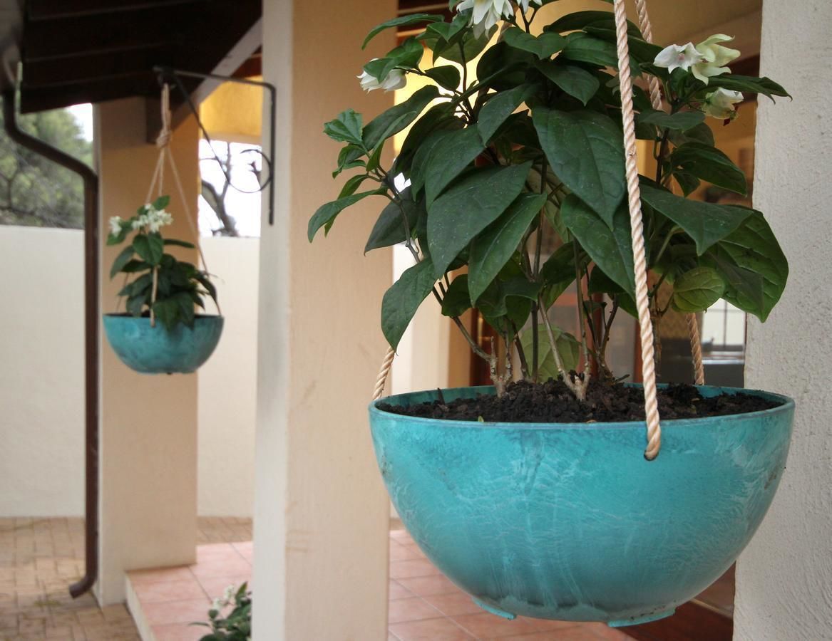 Wilde Cottage On Elder