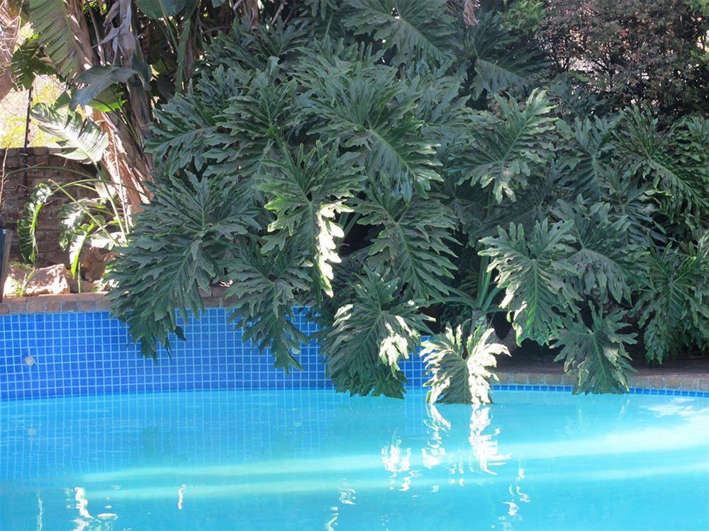 Aero Guest Lodge