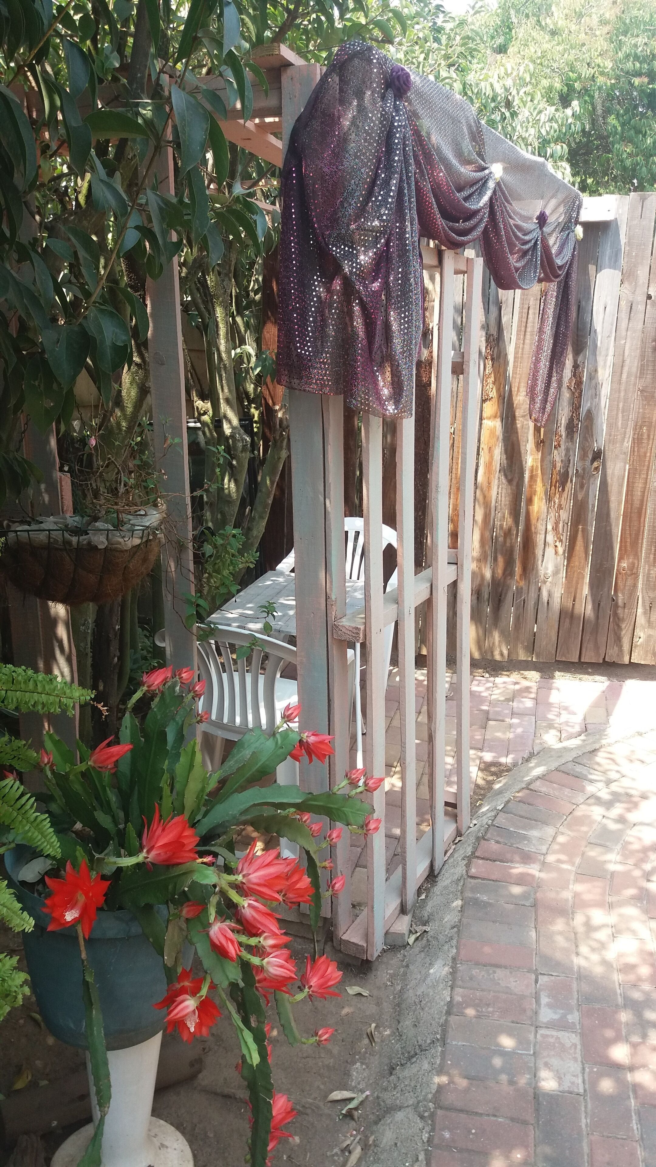 Allen Grove Self Catering