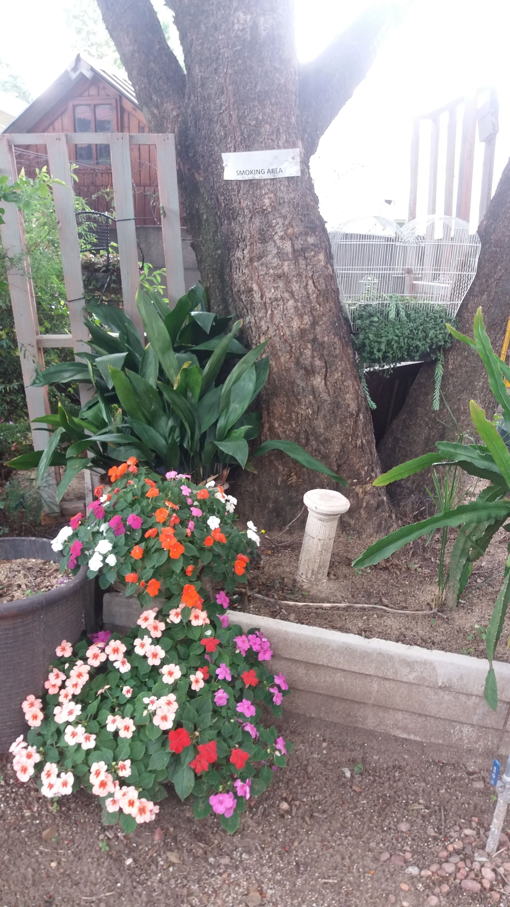 Allen Grove Self Catering