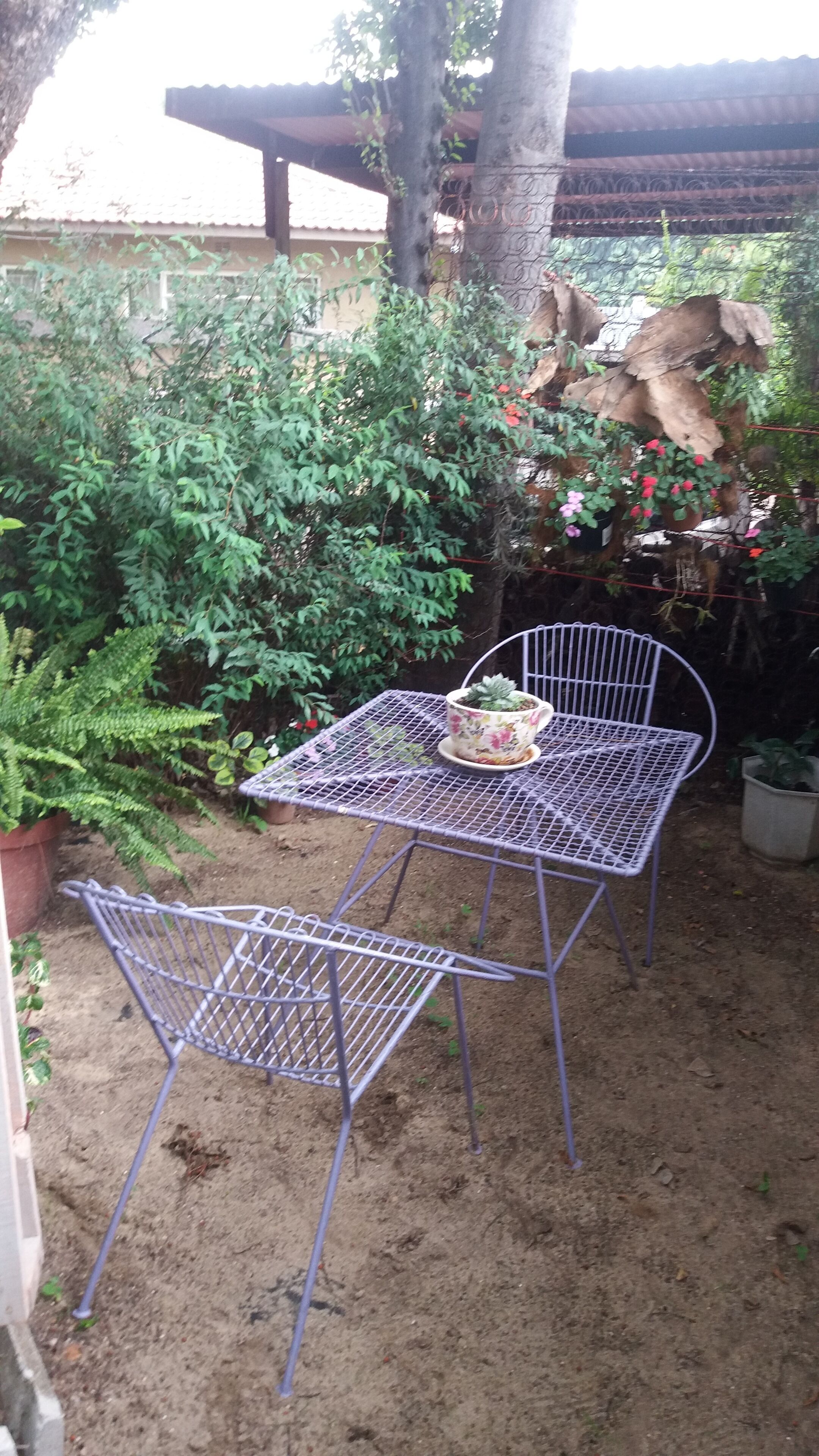 Allen Grove Self Catering