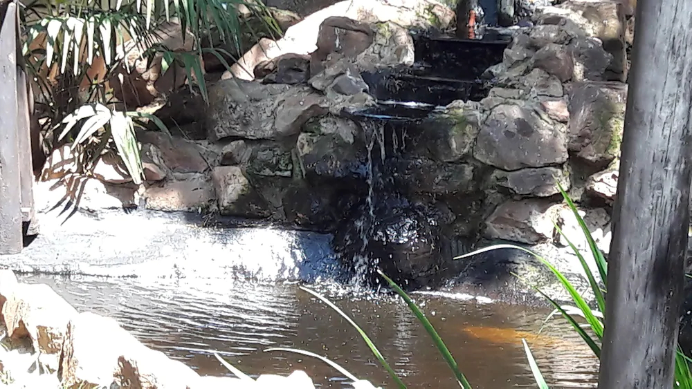 Sugar Rose Guesthouse - Kempton Park B&B