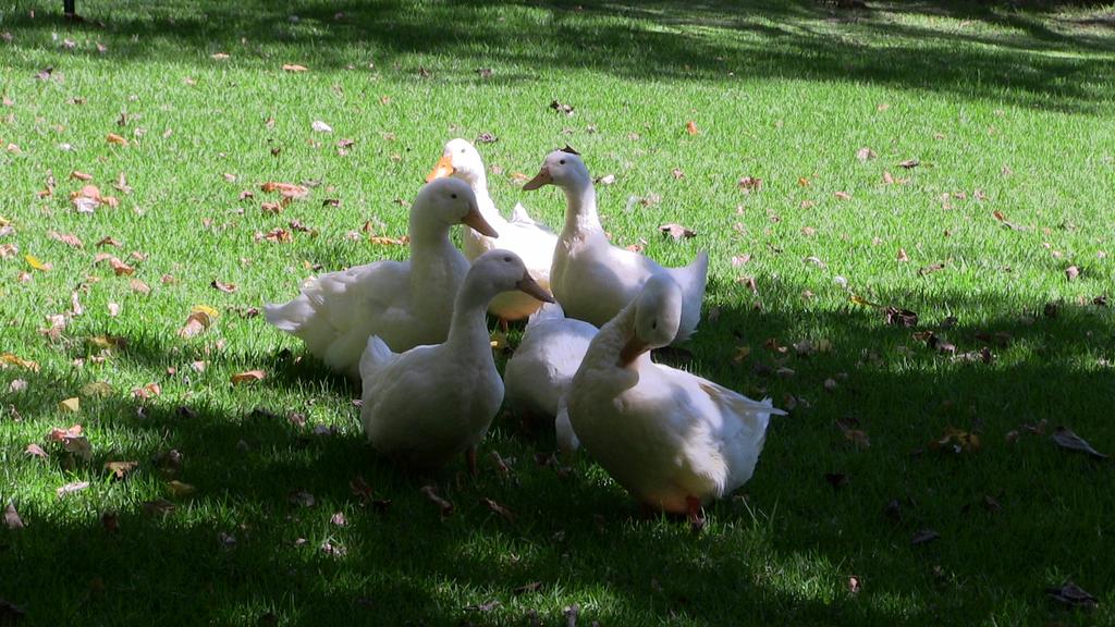 Budmarsh Country Lodge