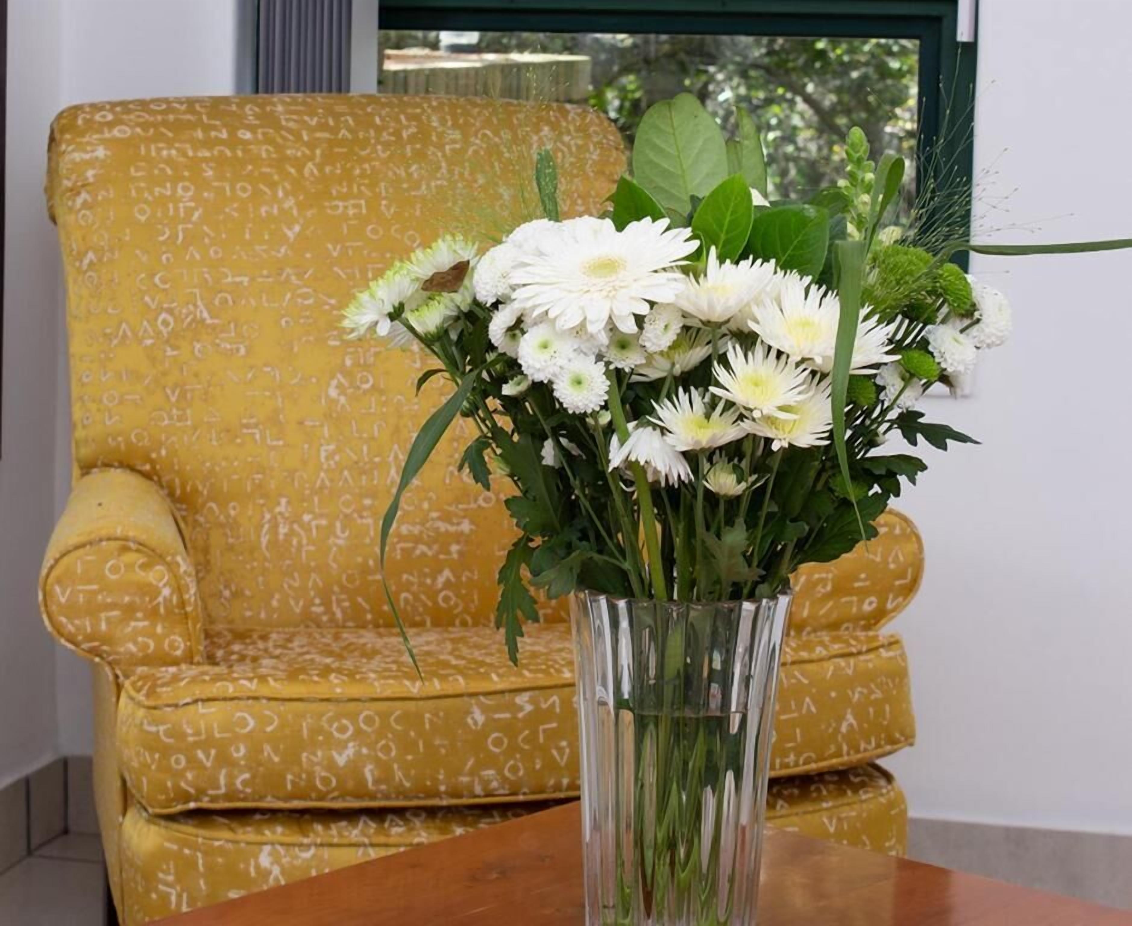 Cussonia Country Home