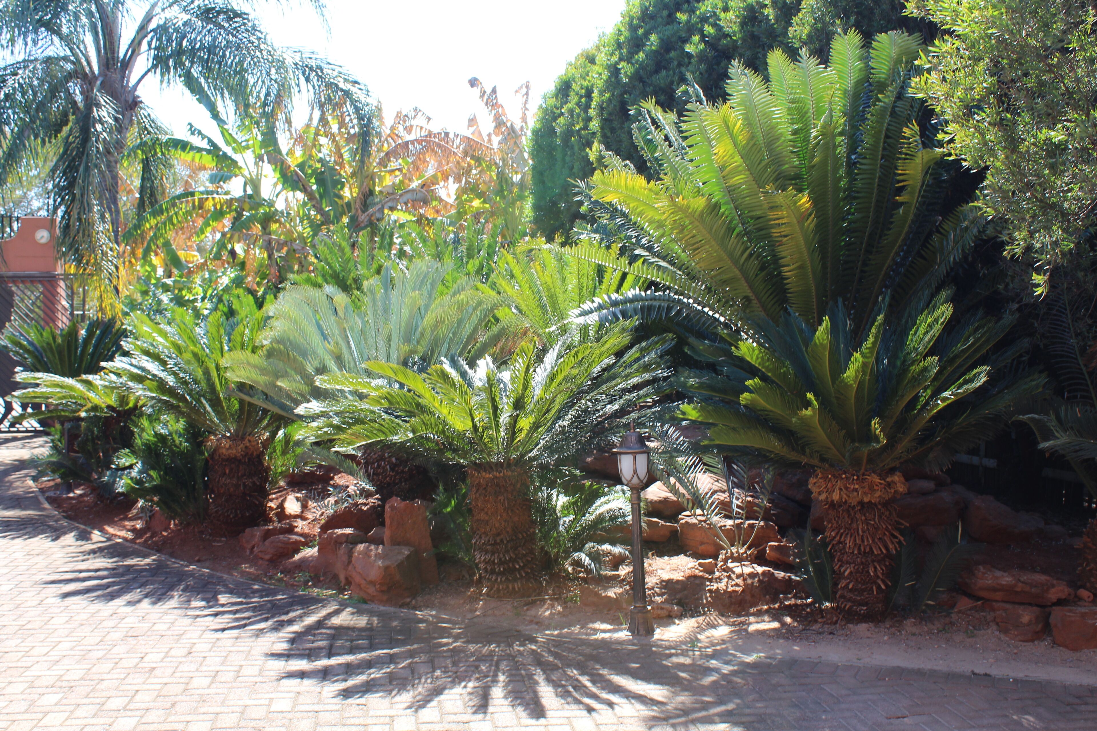 El Gran Chaparral Guest House