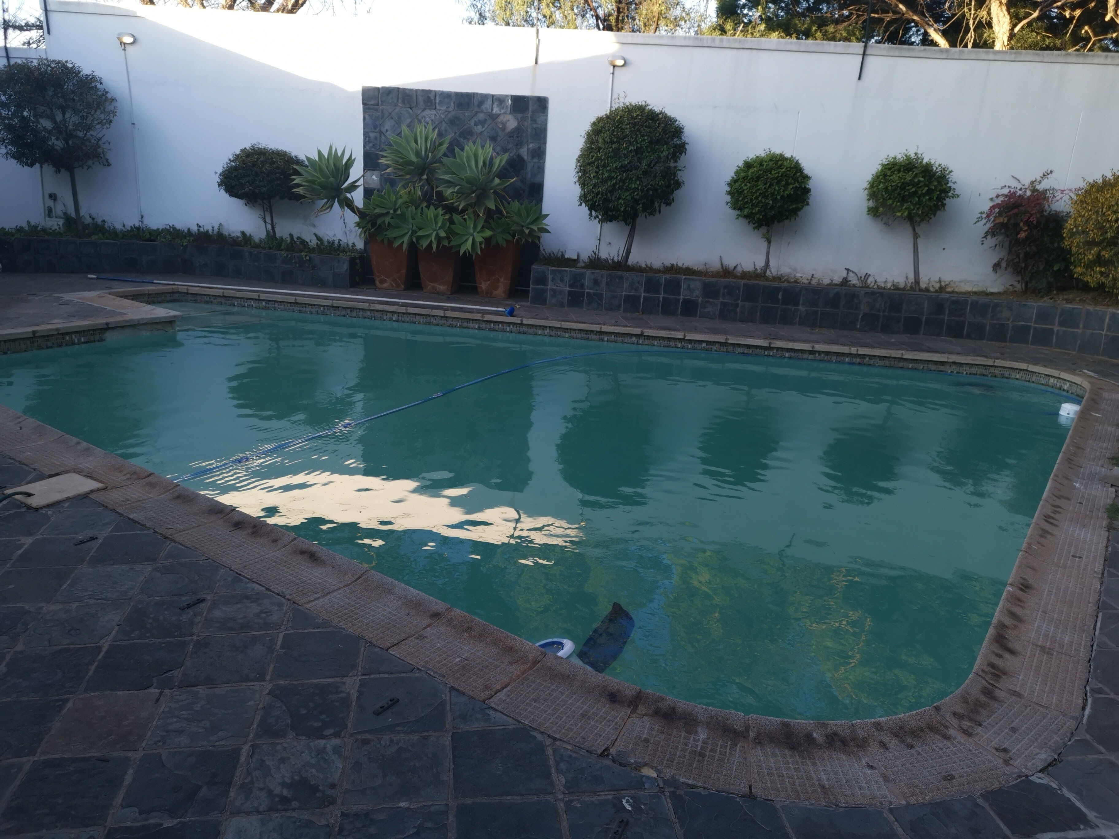 Erasmus Manor Guest House