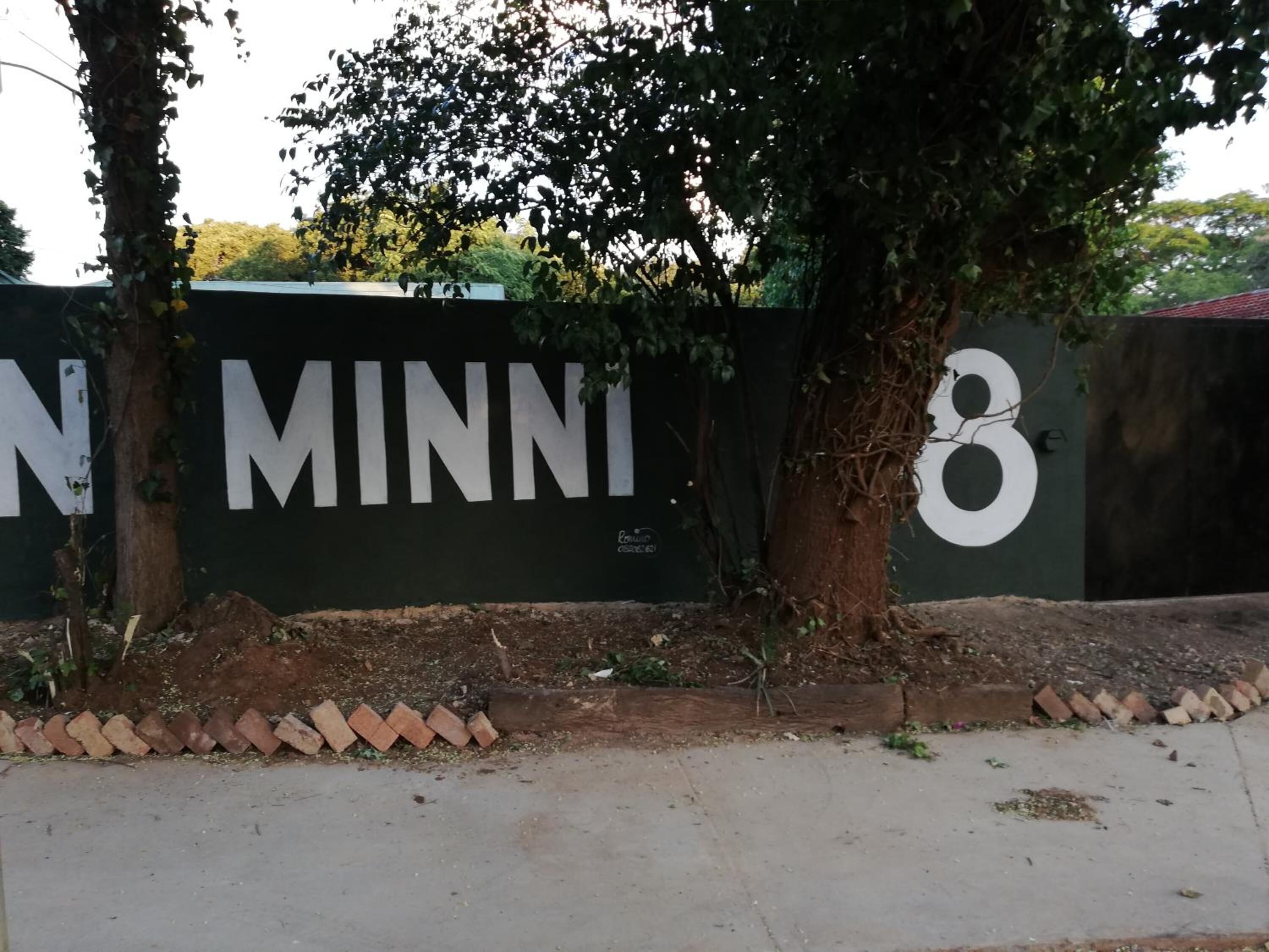 Green On Minni