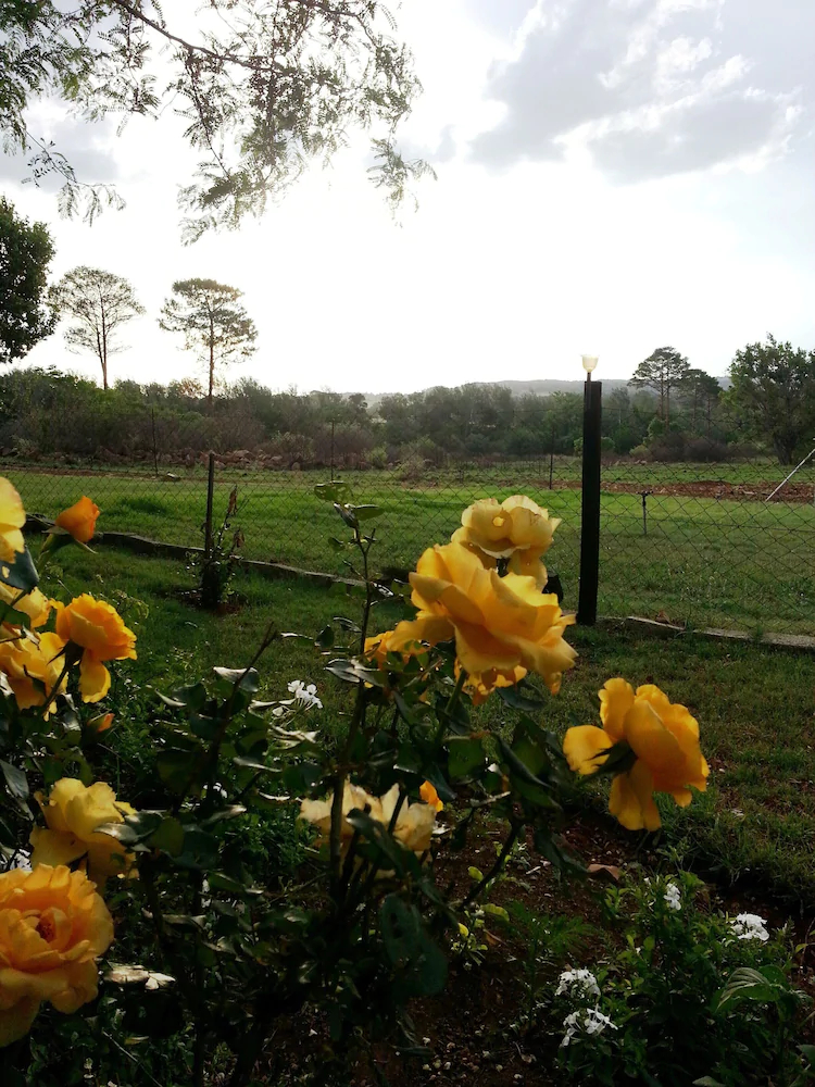 Stoneybrooke Farm