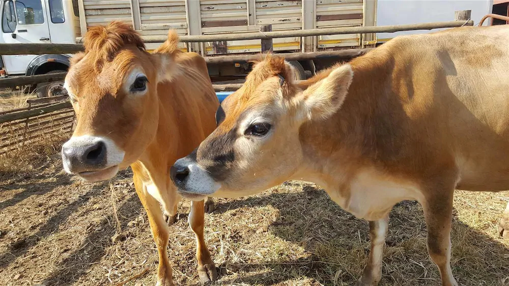 Offgrid Farm