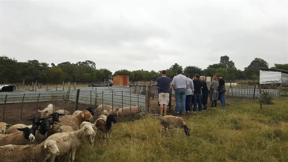 Offgrid Farm