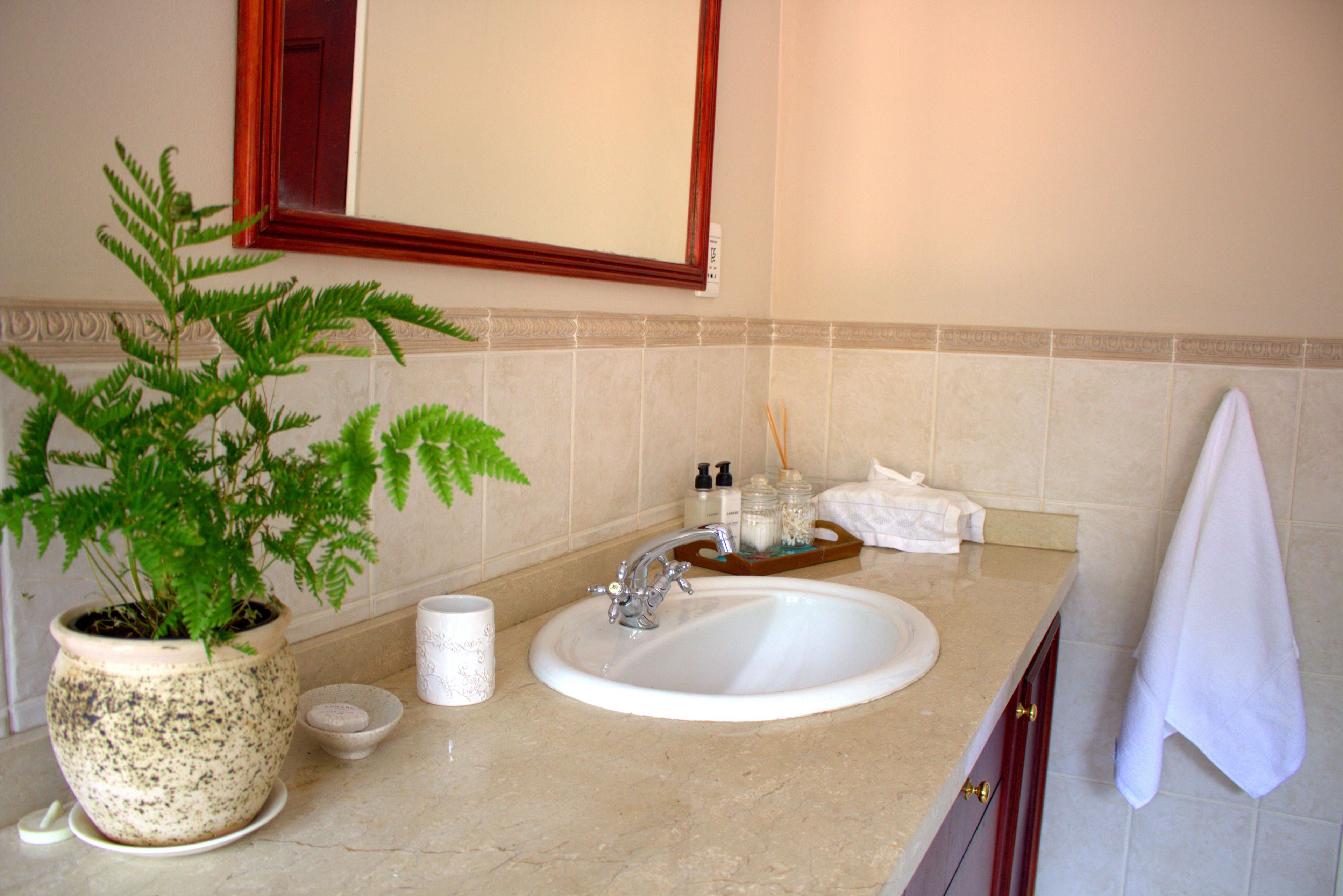 Wild Olive Executive Suite