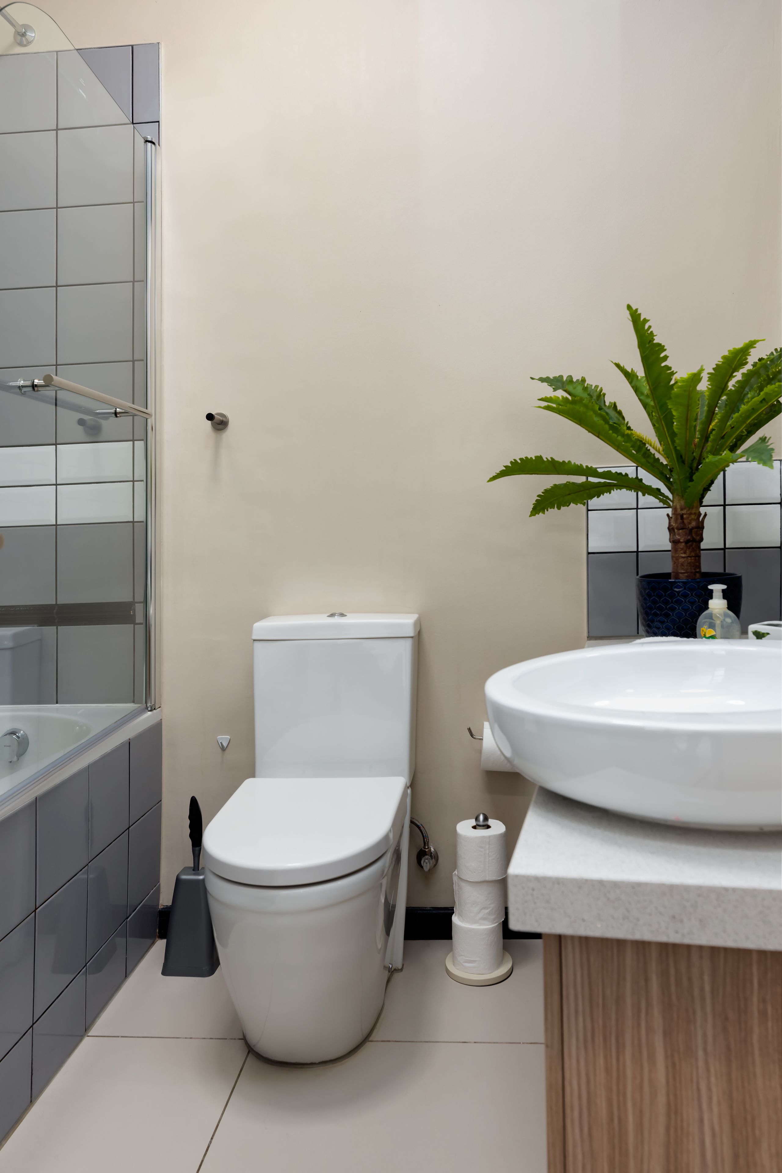 The Rosebank Collection