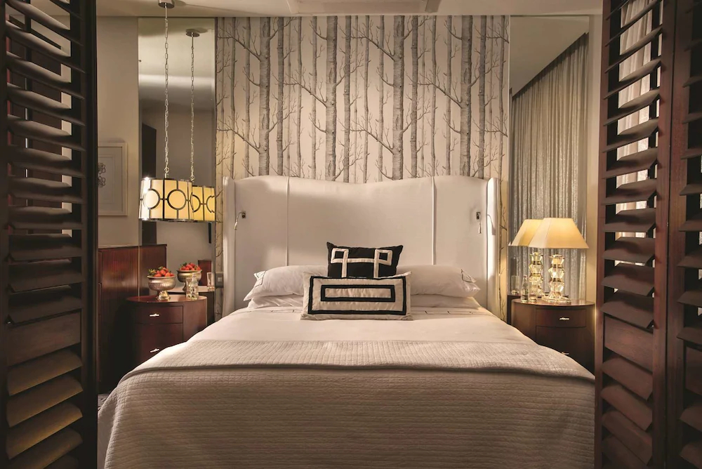 DAVINCI Suites