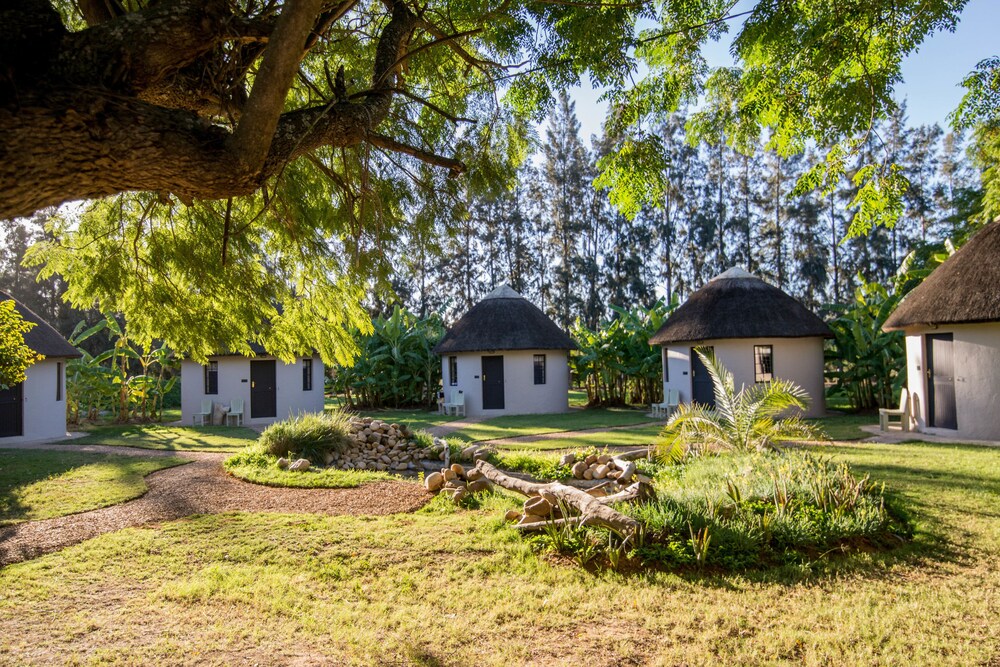 Addo African Home